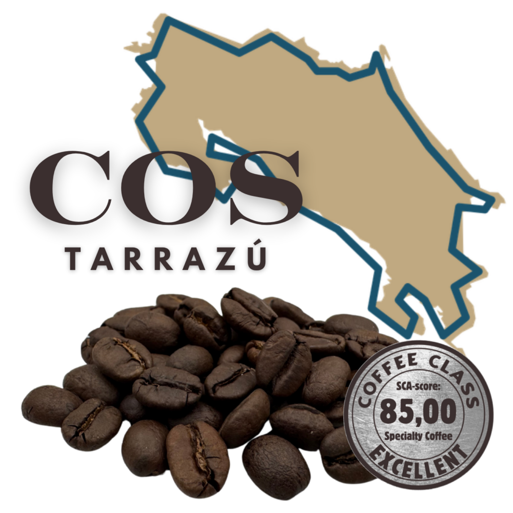 Costa Rica Tarrazú specialty coffee – medium-donker gebrande koffiebonen, SCA-score 85,00