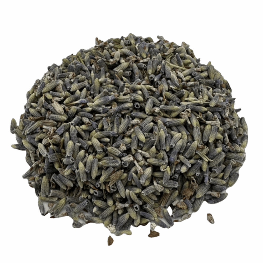 Lavendel