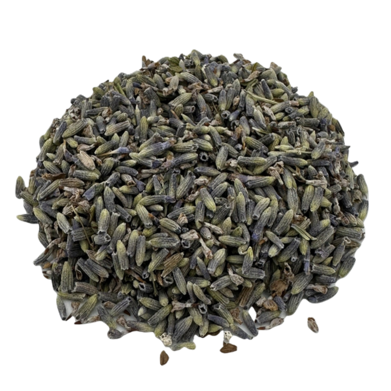 Lavendel