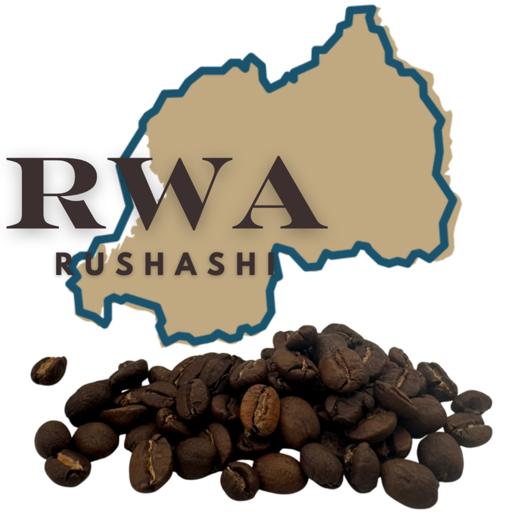 Rwanda Rushashi