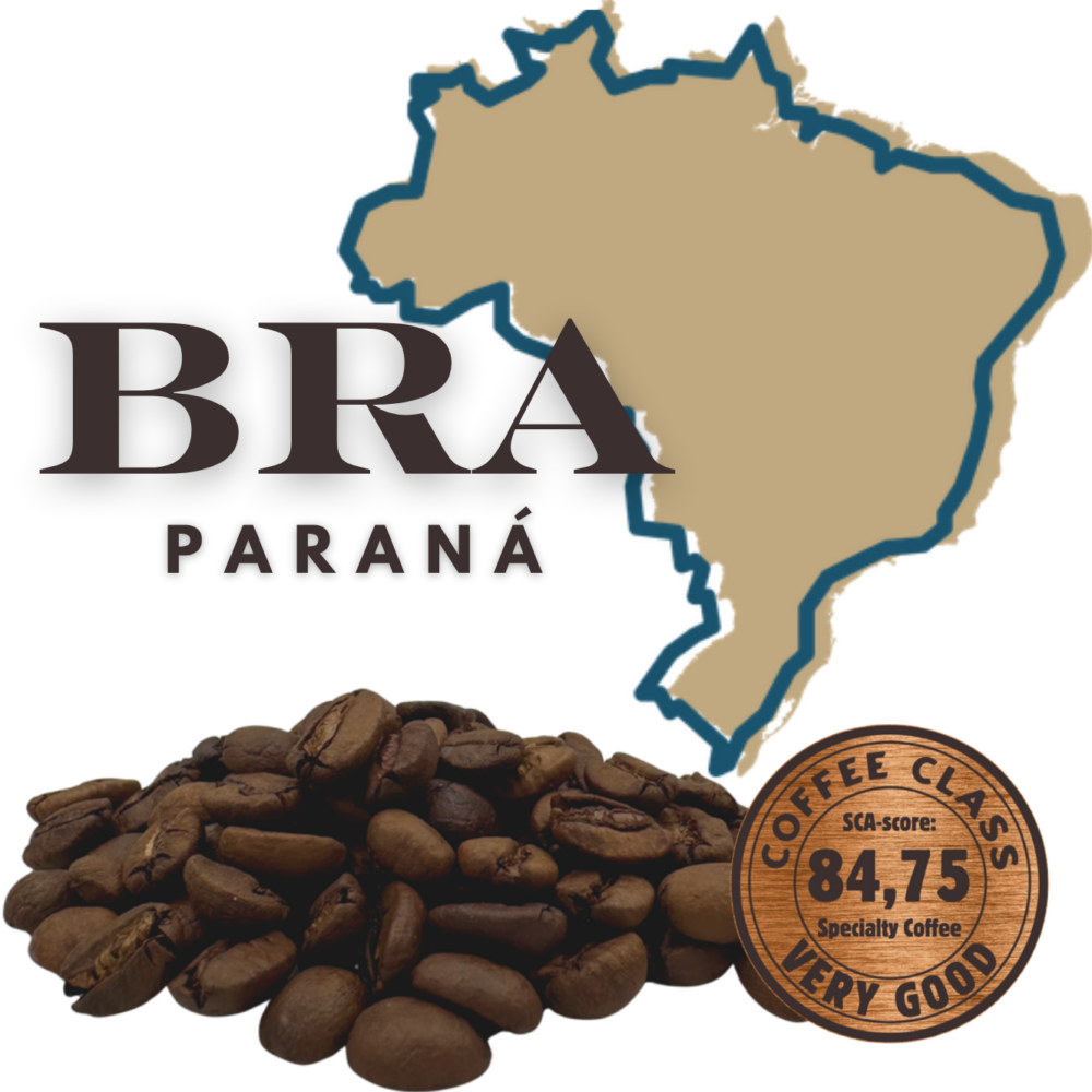 Brazilië Paraná specialty coffee – medium gebrande koffiebonen, SCA-score 84,75